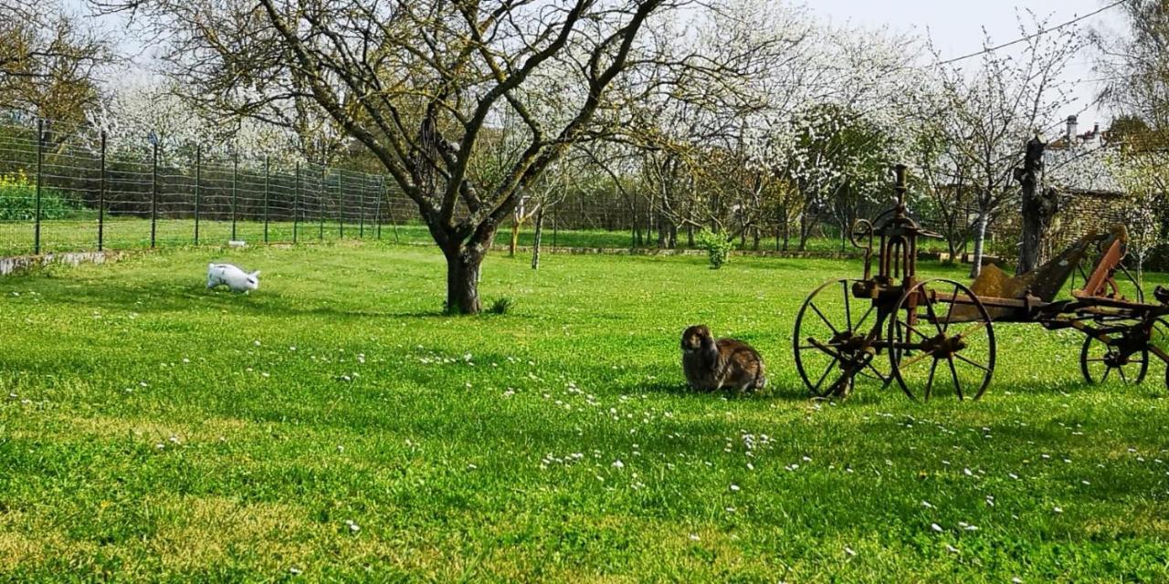Mouterre-SillyLa Ferme Du Grand Boisアパートメント エクステリア 写真