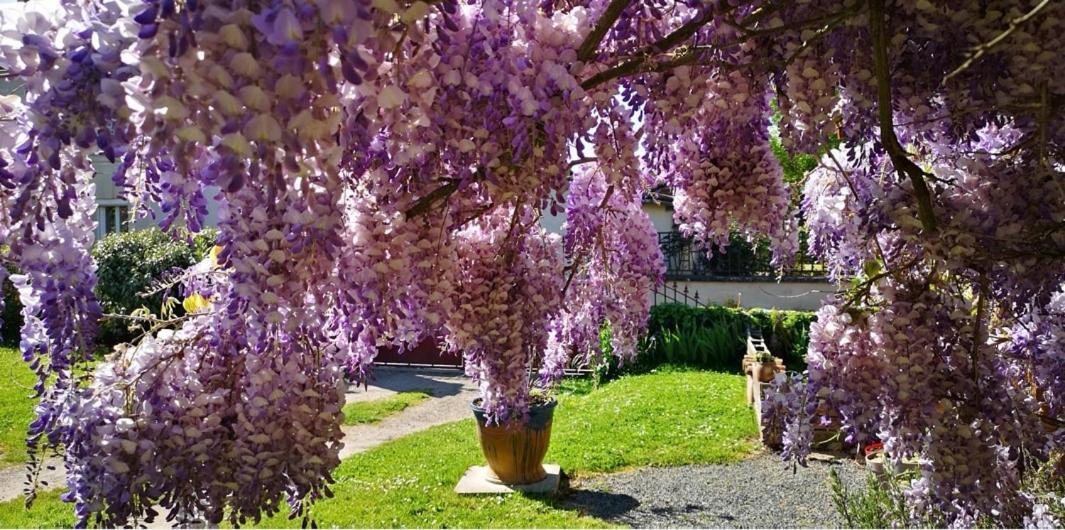 Mouterre-SillyLa Ferme Du Grand Boisアパートメント エクステリア 写真