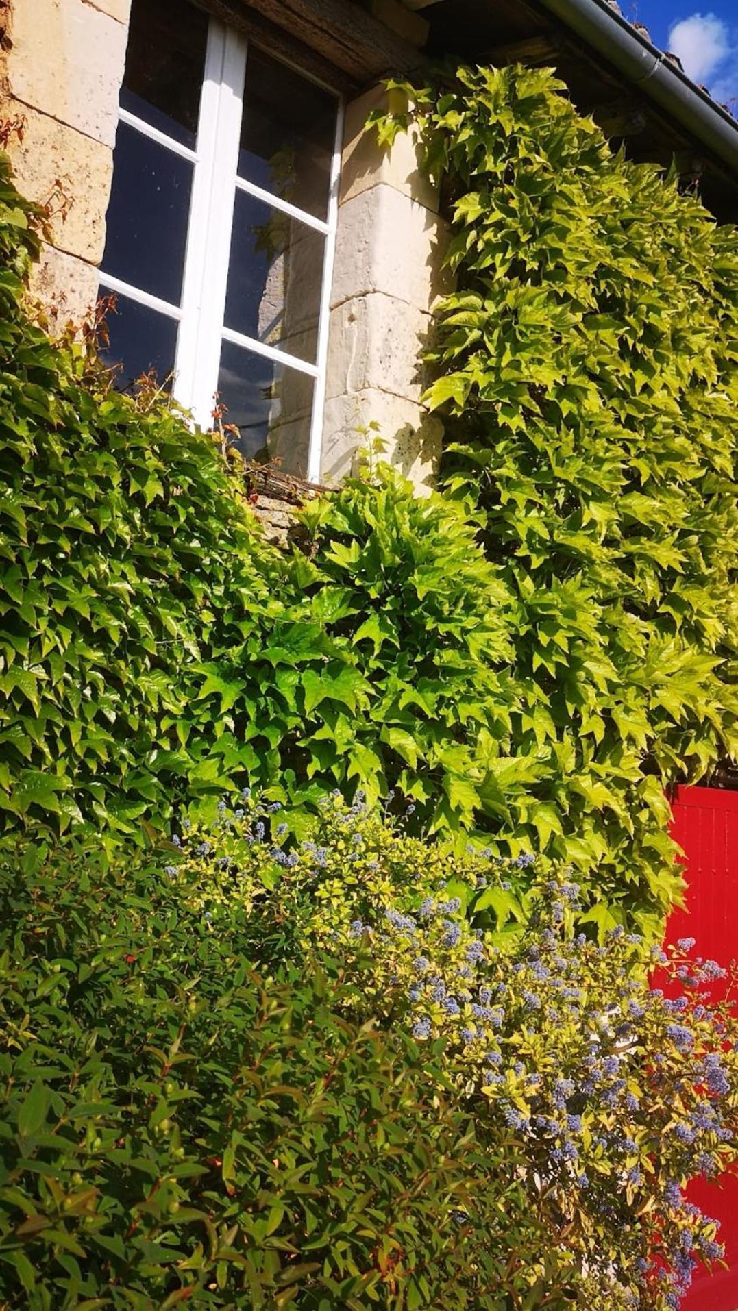 Mouterre-SillyLa Ferme Du Grand Boisアパートメント エクステリア 写真